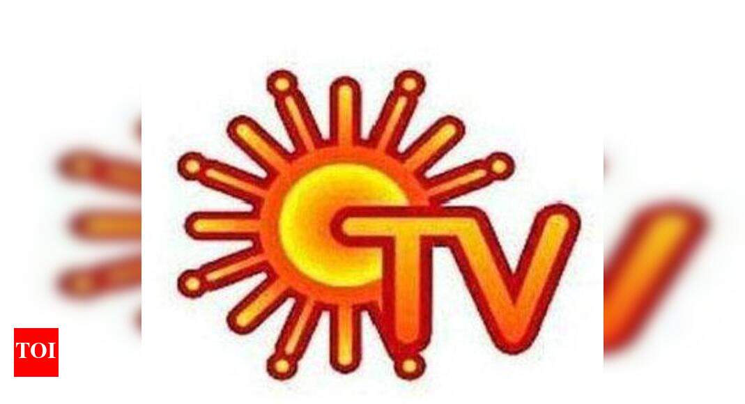 Sun TV shares erase early losses; settle in green - Times of India
