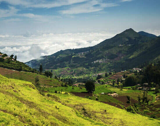 How to reach Ooty