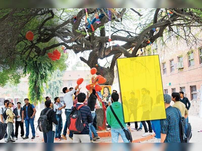 Virgin Tree: TV celebs recall their memories with Hindu College 'Virgin ...