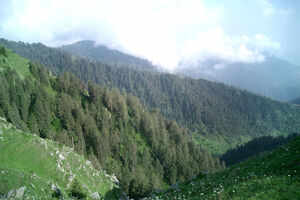 Dalhousie Travel Guide