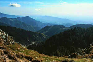 Dainkund