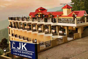 JK Clarks Exotica