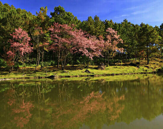 Doi Inthanon National Park