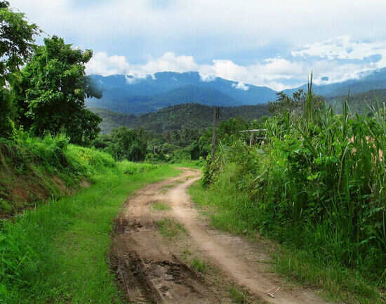 Doi Suthep-Pui National Park
