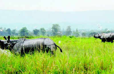 Doon to have world’s first centre for conservation of natural heritage