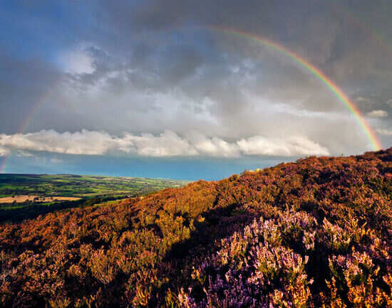 Ilkley Moors