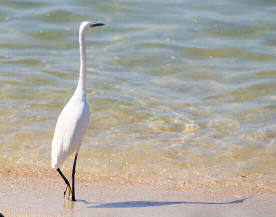 Places to visit in Odisha for nature lovers