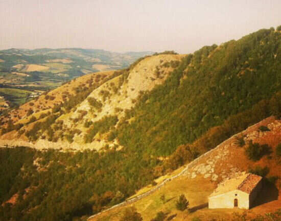 Go truffle hunting in Acqualagna