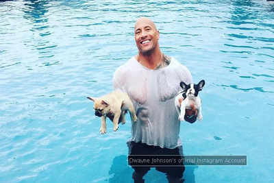 Dwayne Johnson rescues his puppies from drowning in pool