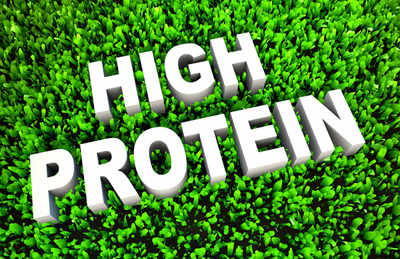 Living with type 2 diabetes? Power of protein in your diet