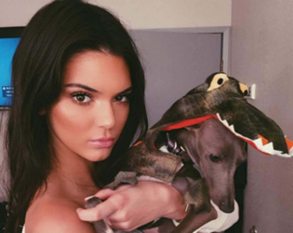 
Kendall Jenner continues to hold top spot on Instagram
