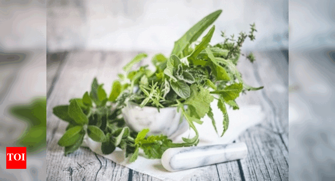 Benefits and sideeffects of herbal medicines Times of India