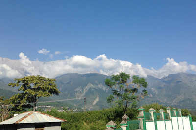Dharamshala Diary: Of scenic pines and cricket madness