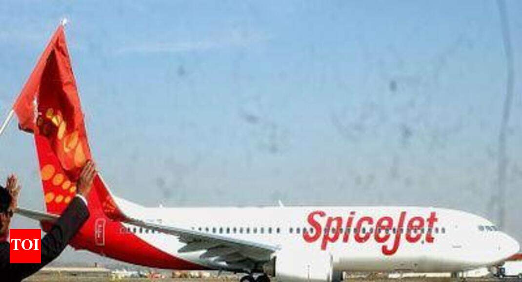 SpiceJet to operate flights to Dubai from Amritsar, Kozhikode Times