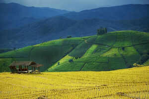 5 exciting adventure activities in Chiang Mai