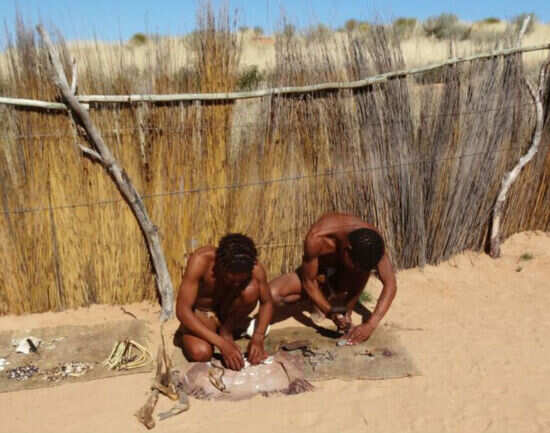 Kgalagadi Transfrontier Park