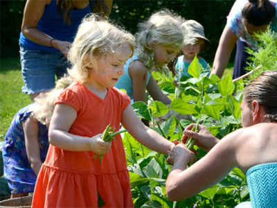 School gardens help kids learn better and eat healthier