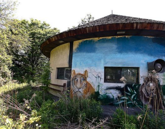 Detroit&rsquo;s Abandoned Zoo