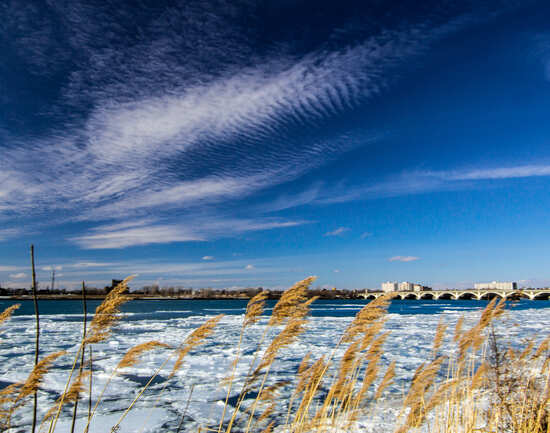 Belle Isle