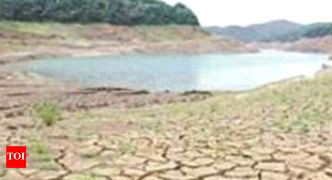Maharashtra declares drought in 14,708 villages | Mumbai News - Times ...