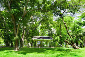 Things to do in Bangkok for free