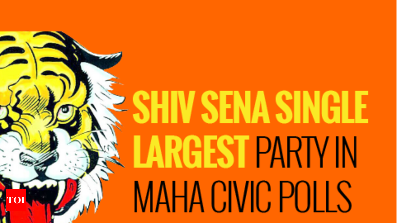 Shivsena Tiger Sticker Pack of 3 : Amazon.in: Office Products