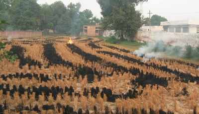 Stubble burning costs Punjab farmers Rs 7.6cr per year in medical bills