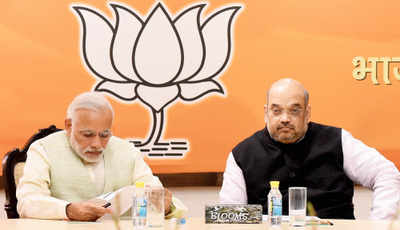 Bihar election results 2015: RSS rejects criticism of Narendra Modi, Amit Shah