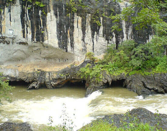 Things to do in Dandeli for adventure enthusiasts