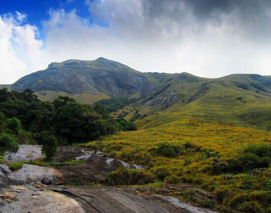 Eravikulam National Park