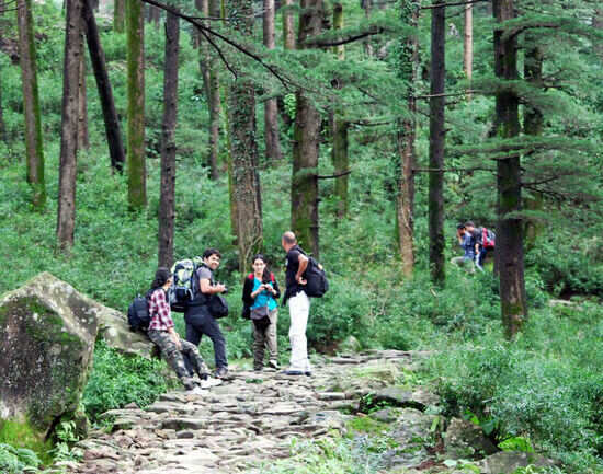 Triund