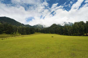 Aru Valley
