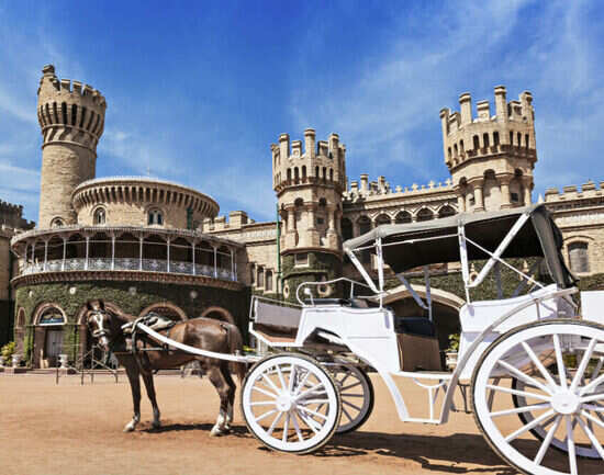 The most amazing things to do in Mysore
