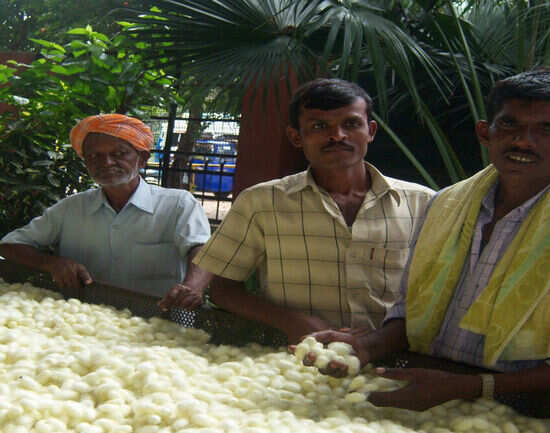 Visit the Government Silk Weaving Factory