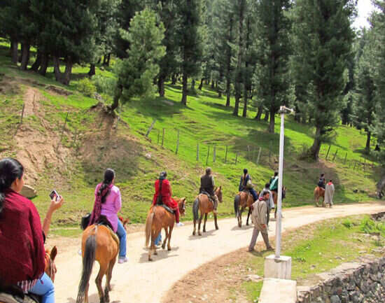 You can&rsquo;t afford to miss these things in Pahalgam