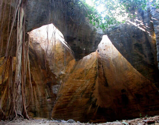 Naida Caves