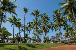 Short trips from Varkala