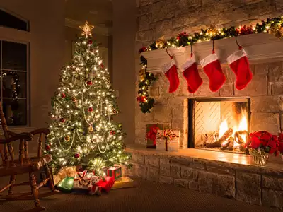 Everything you need to know about Christmas tree