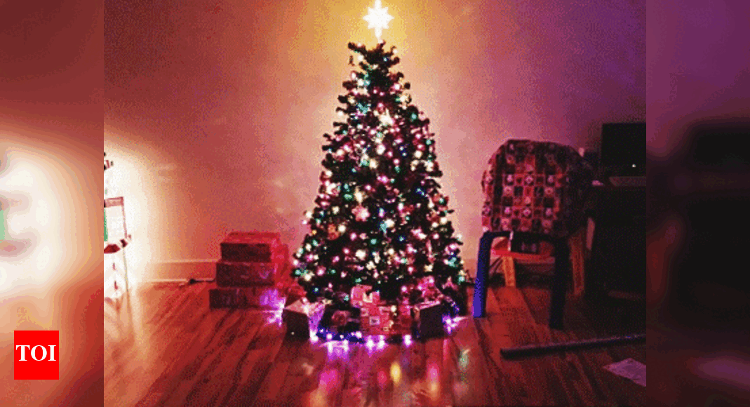 Everything you wanted to know about the Christmas tree  Times of India