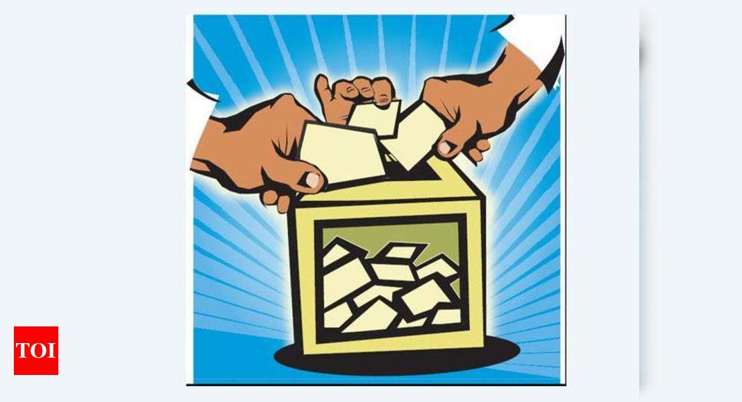 Gujarat govt to launch e-voting in panchayat polls - Times ...