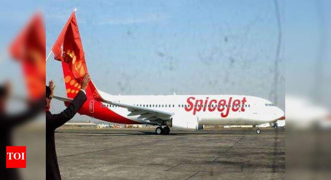 SpiceJet hopes to order for new planes this fiscal: Chairman - Times of ...