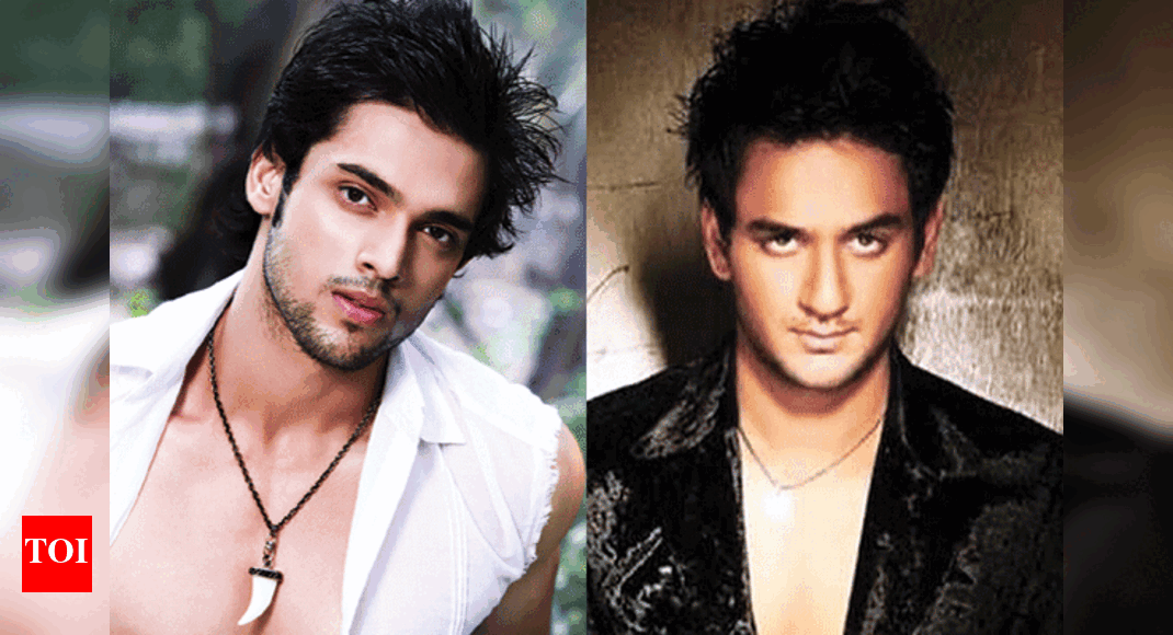 Parth Samthaan Accuses Vikas Gupta Of Molestation Times Of India