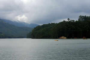 Discover Mattupetty Dam