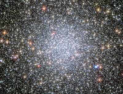 Globular star clusters may harbour intelligent life