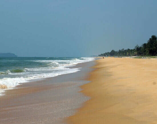 Eco Beach