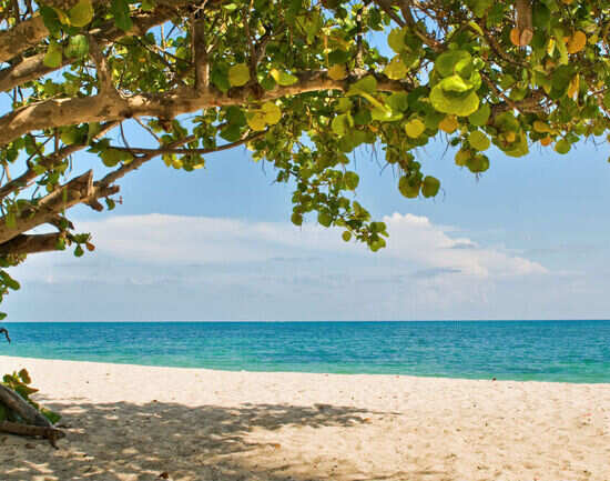 10 things you just can&rsquo;t miss in Trinidad