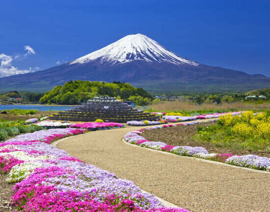 Two days in Tokyo: a contrasting world of past and present