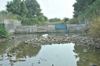 NGT junks plea seeking demolition of 12 check dams in UP
