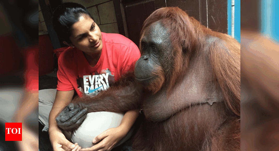 Pet trouble? Call an animal whisperer | India News - Times of India Pet trouble? Call an animal whisperer | India News - Times of India