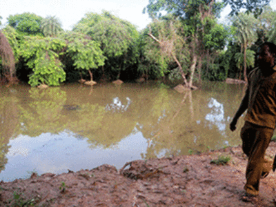 Guindy National Park has enough water for next 16 months: Officials